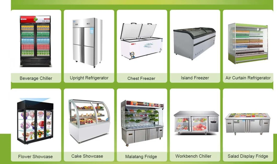 Commercial Custom Double Door Upright Display Showcase Beverage Display Refrigerator Freezer Display